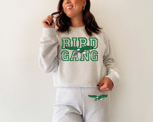 Philadelphia Eagles Bird Gang Womens Sweatsuit / Tracksuit
